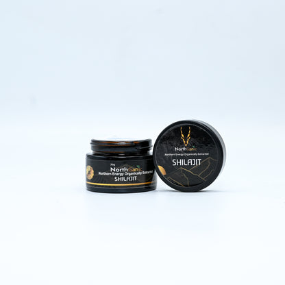 NorthGanic Shilajit