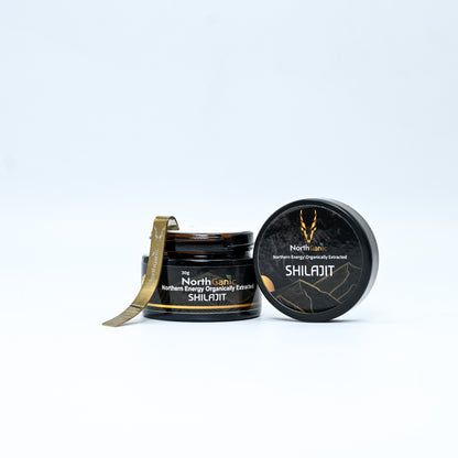 NorthGanic Shilajit